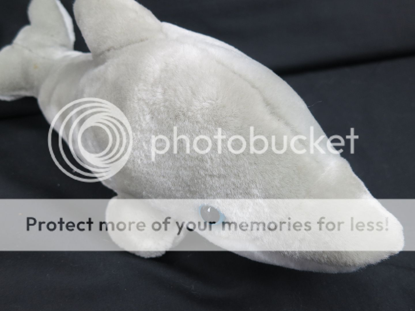 bottlenose dolphin stuffed animal